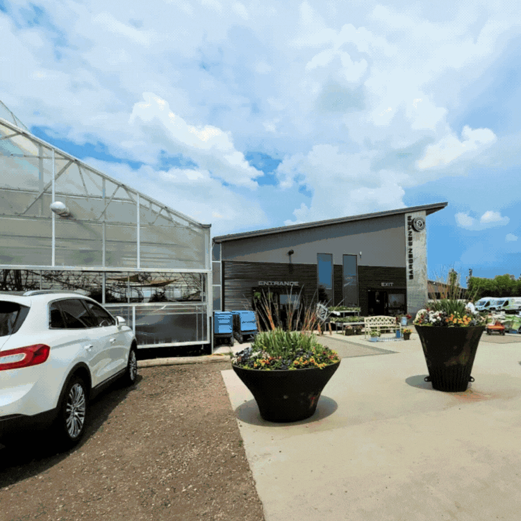 ๐ฑ Greenhouse Goodness in Full Swing