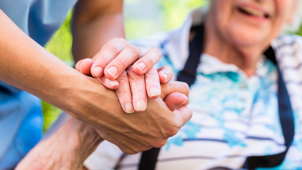 🎄 Neighbors Showing Up on Christmas Day