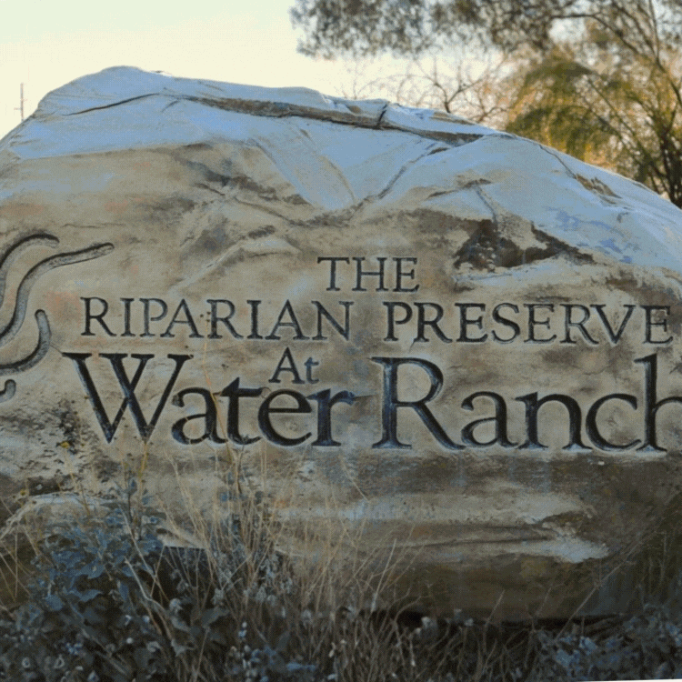 🌿 Quiet Trails for Slowing Down