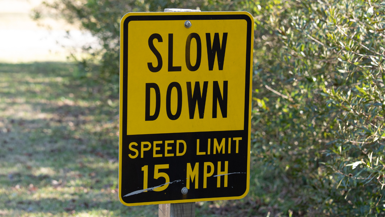 🚗 Nov. 16 Declared LA County Remembrance Day for Road Traffic Victims