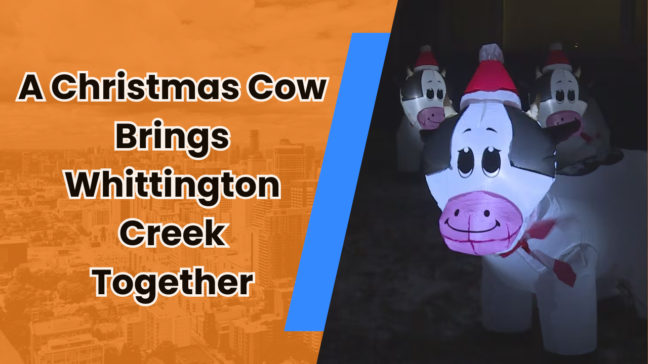 🐄 A Christmas Cow Brings Whittington Creek Together