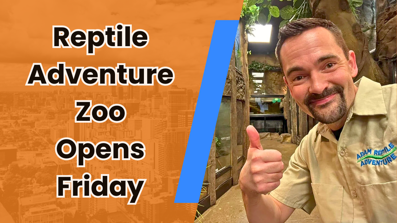 ๐ฆ Reptile Adventure Zoo Opens Friday