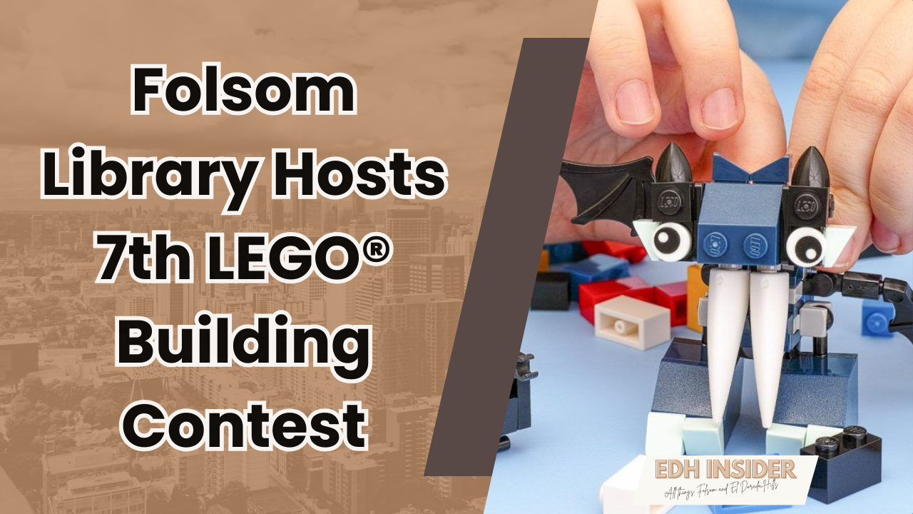 Folsom Public Library Hosts 7th Annual LEGO® Building Contest