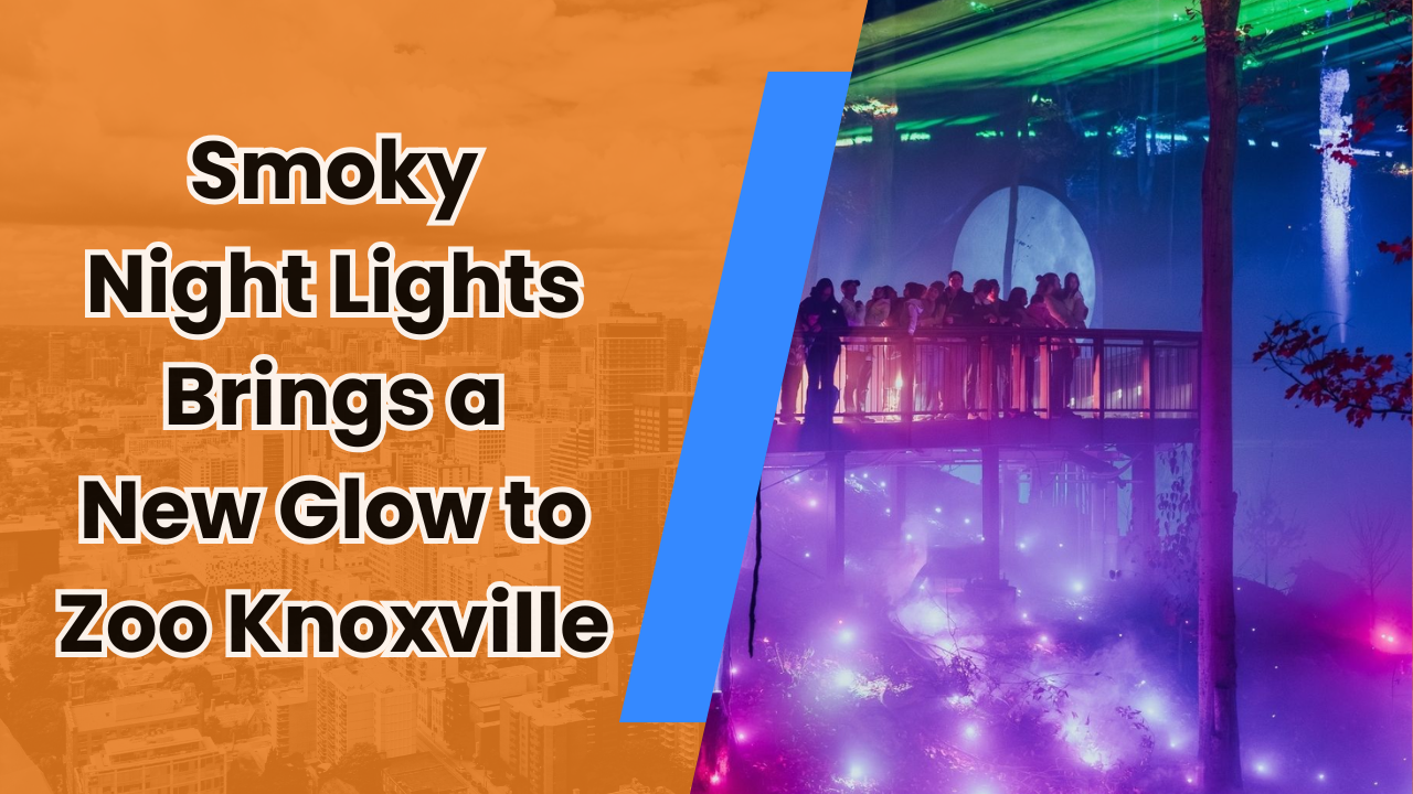 ✨ Smoky Night Lights Brings a New Glow to Zoo Knoxville