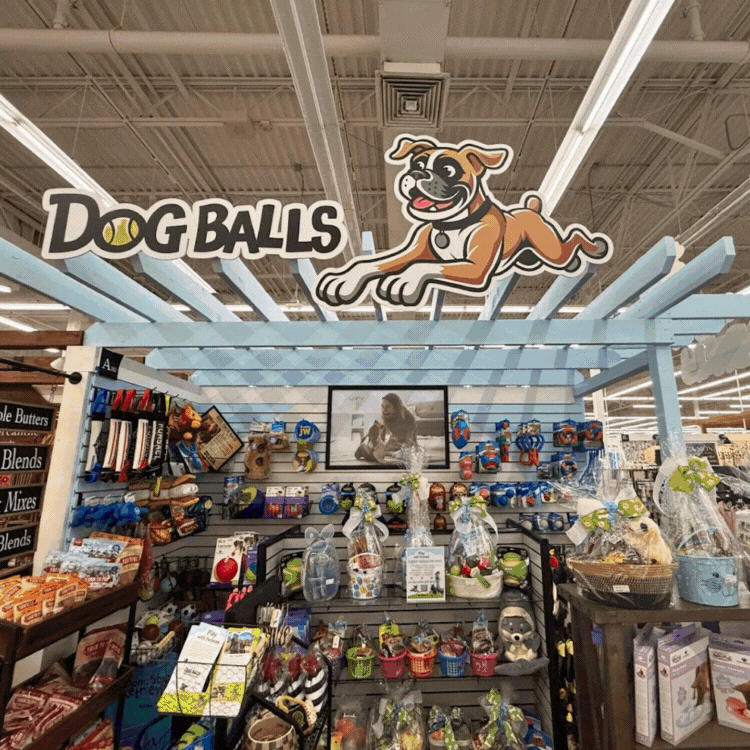 🐶 Pawsome Playtime Haven