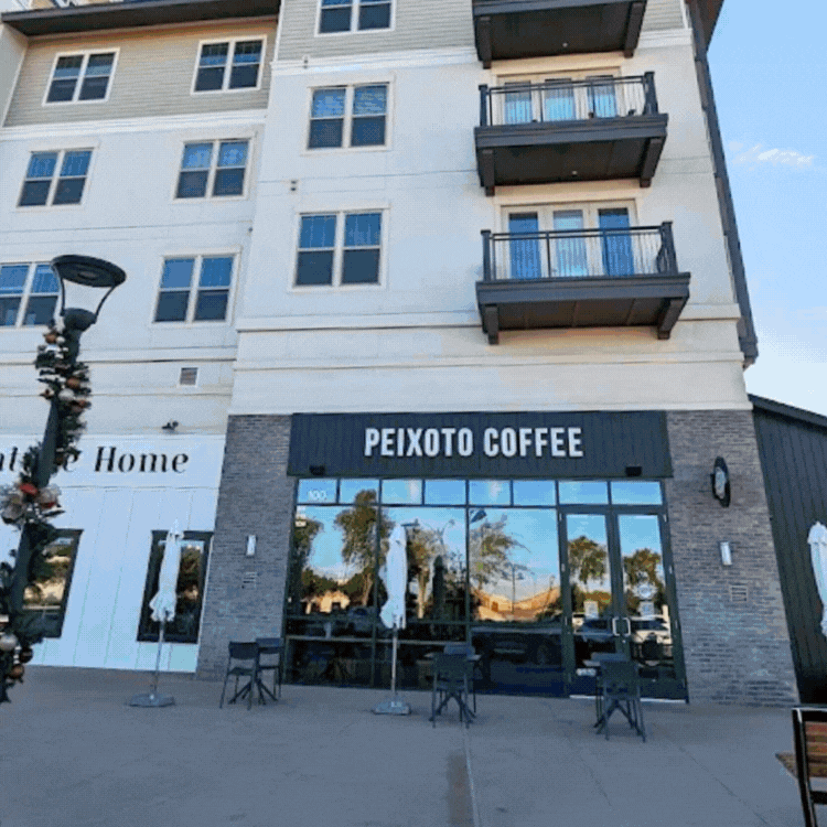 ☕ Holiday Grounds, Deep Roots