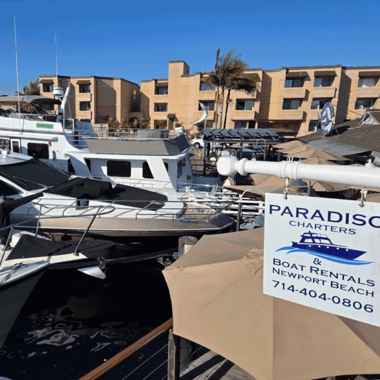 ⛵ Holiday Magic on the Water