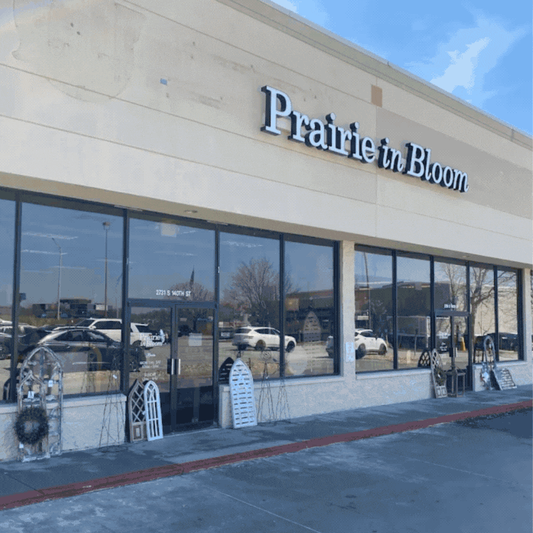 🎄 Holiday Wandering Encouraged Inside