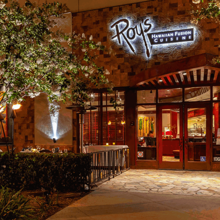 π΄ Surf, Sizzle, and Good Cheer