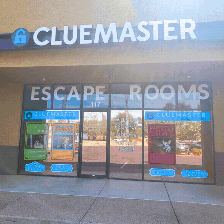 🧩 Festive Brains, Friendly Pressure