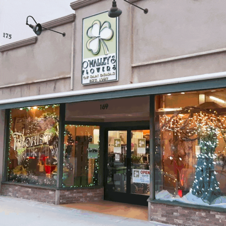 🍁 Seasonal Blooms With Heart