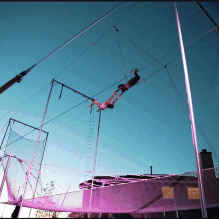 🎪 Ring in the Year, Circus-Style