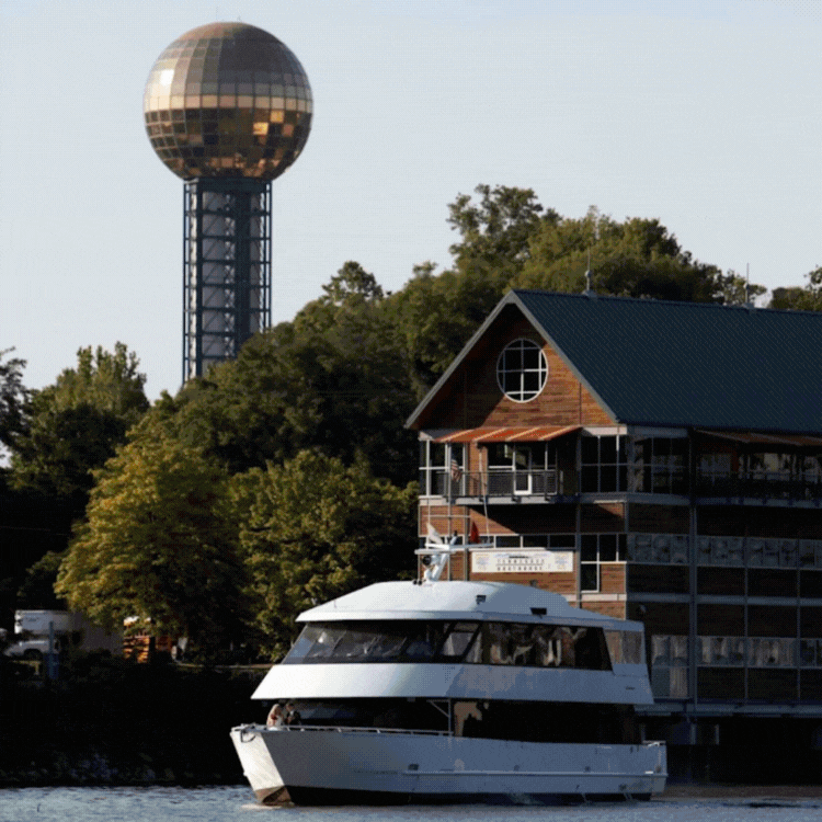 🎄 Cookies, Carving Knives & River Nights
