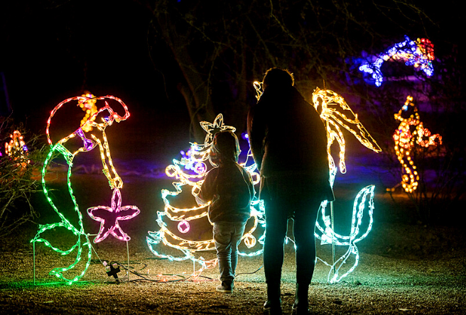✨ Riparian After Dark Returns for Holiday Magic